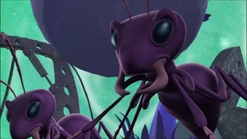 GiantAntsDebut.png (552 KB)