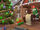 Elf Pledge