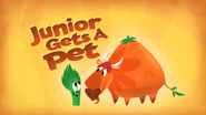 Junior Gets a Pet