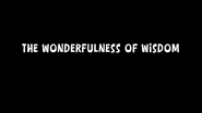 The Wonderfulness of Wisdom