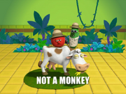 Monkey21.png