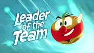 Leader of the Team