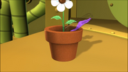 LiquidPouringIntoFlowerPot