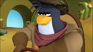 MidgelLandingRockhopper