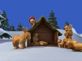 Deck the Halls