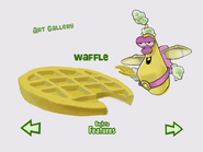 Snoodle Waffle