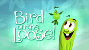 Bird on the Loose!