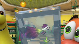 TheGuppyWhisperer224