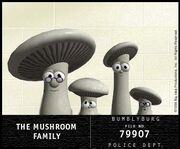 LB shrooms.jpg