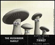 LB shrooms