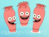 Penis Worms