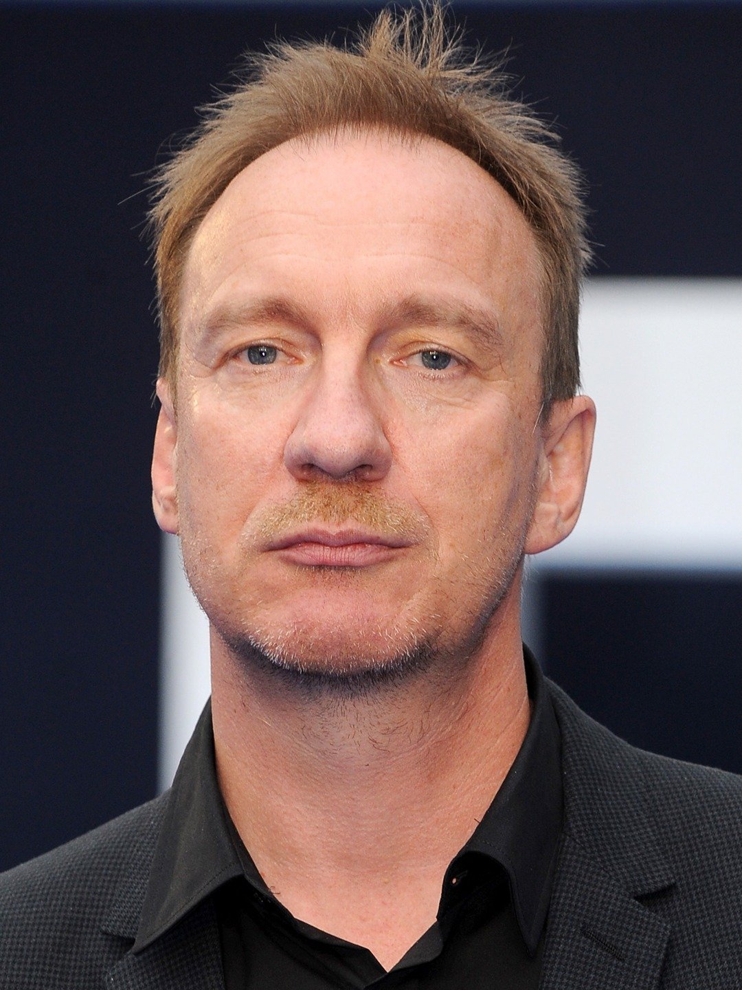 david thewlis remus lupin