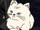 Choupette