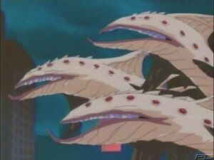 Hydra Eel-2.jpg