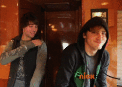 Tumblr lwn2k6ViqQ1r7q0d0o2 250.gif