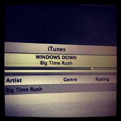 300px-WindowsDown.jpg
