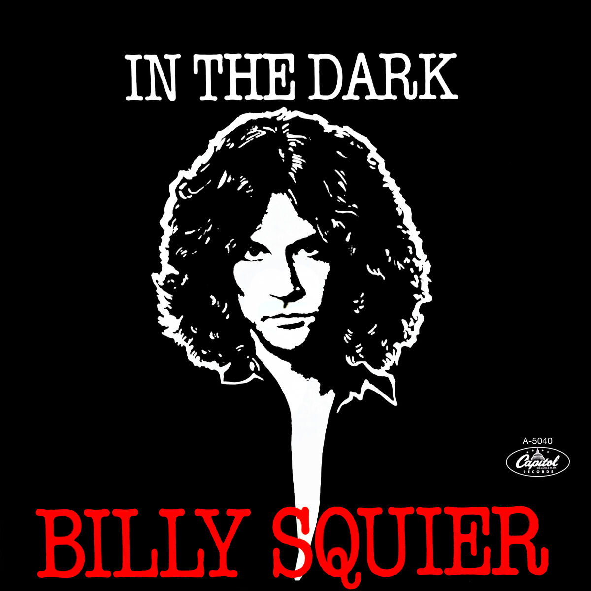 In the Dark | Billy Squier Wiki | Fandom