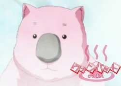 Wombat Binan Koukou Chikyuu Bouei Bu Love Wiki Fandom