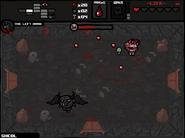 The Fallen as a normal enemy in Sheol (could be the mentioned champion)