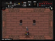 Two books of sin in a library.