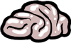 Brain