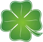 Czterolistna koniczyna - jeden z symbolów szczęścia