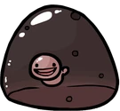 Blastocyst full