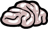 Brain design.png