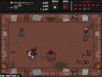 Lucky with isaac