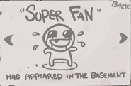 "Super Fan" - Complete Challenge 7. (Collectible Item)