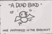 A Dead Bird Unlocked Crap