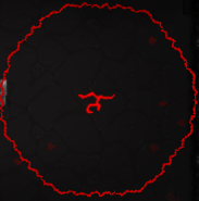 Synergia z Technology i A Lump Of Coal