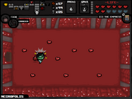 Womb Secret