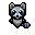 263 baby raccoon