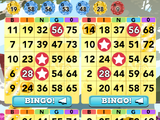 Bingo Gameplay