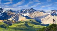 June 3, 2009: Polychrome Pass overlooking the Alaska Range, Denali National Park, Alaska Learn more about this image