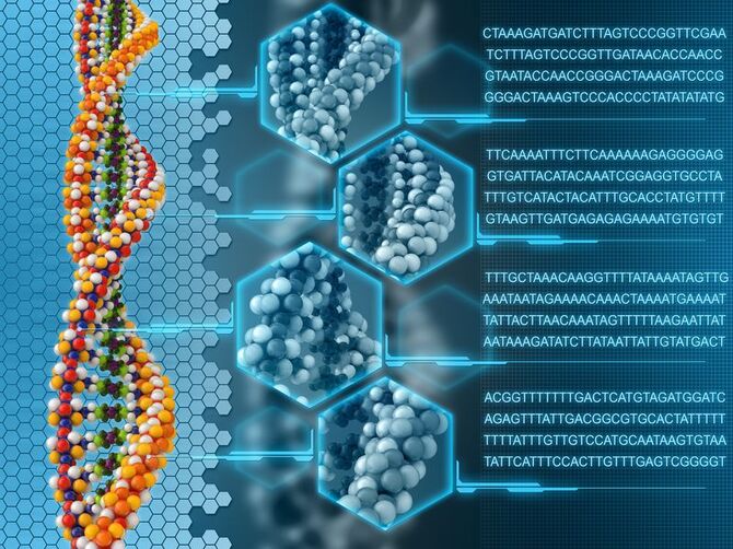 Bioinformatics