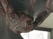 234685view003.jpg (19キロバイト)