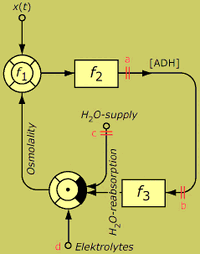 Osmoregulation