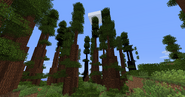 New Redwood Trees (BOP 1.2.1)