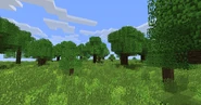 Overgrown Greens pre-1.21 (removed in 1.8).