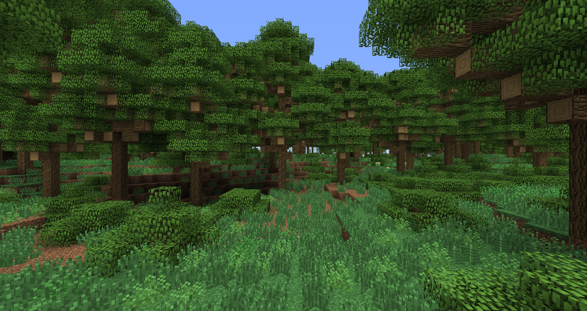 dense-forest-biomes-o-plenty-wiki-fandom