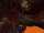 Fungi Forest (Nether)