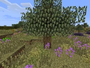 2013-12-07 20.23.45.png (424 KB)