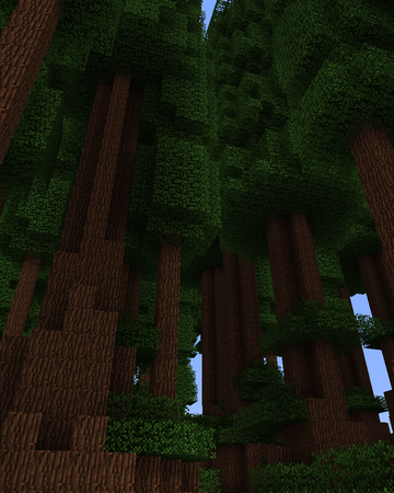 Redwood Forest Biomes O Plenty Wiki Fandom