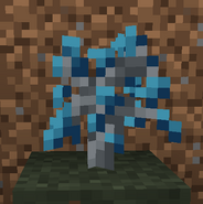 Old Sapling