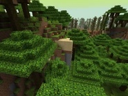 2013-11-30 17.23.40.png (1.27 MB) Quicksand found on top of an exposed stone.