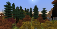 Seasonal Spruce Forest