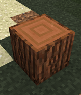Old Redwood Log Texture