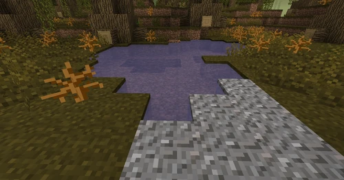 Pool with Poisoned Water